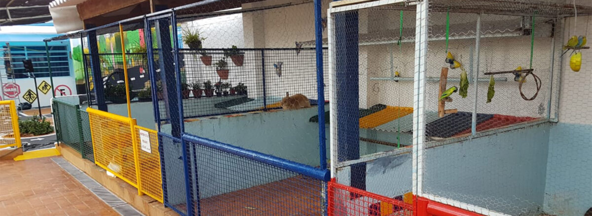 Zoo